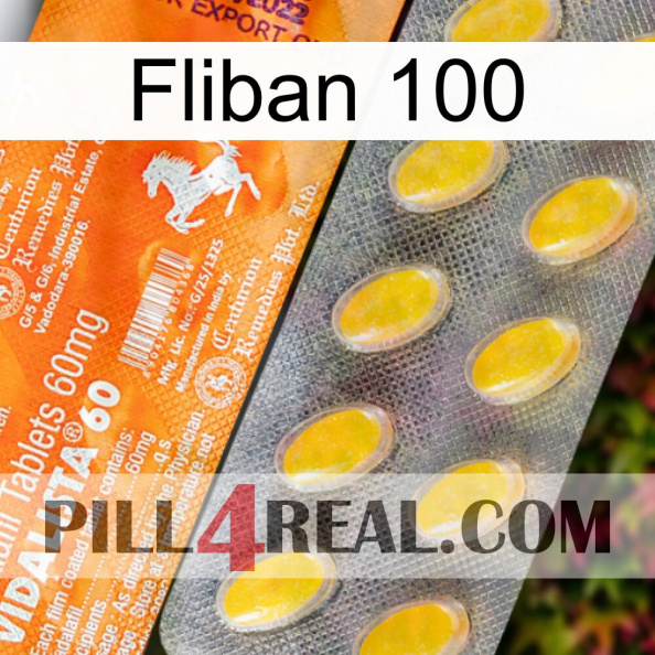 Fliban 100 new05.jpg